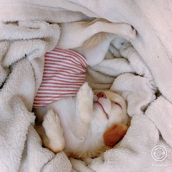 D2496d0f 3b88 4886 9053 5ee994f4225c 1598167360483