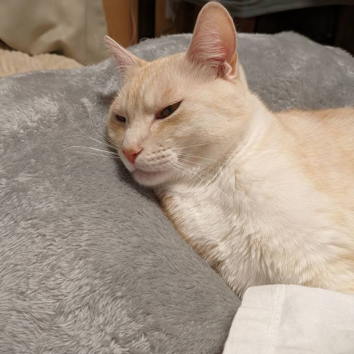 D2499781 f7b1 4116 a63a f885ac03174c 1700564266123