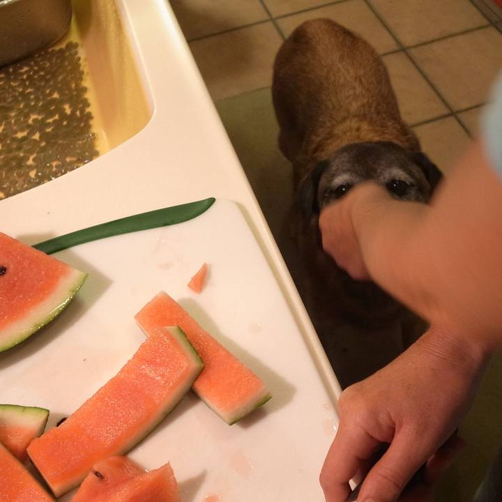 D24a189b 29ad 4316 92e3 f6677f6adb17 1612138286963