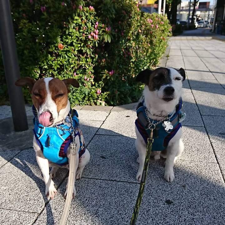 D24a28e0 69d3 4031 9228 79477e7c5b96 1555710524179