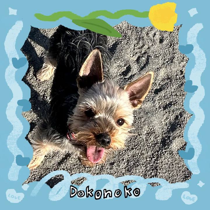 D24a3b42 161d 425f bf47 4a1d5128d16f 1771830632687