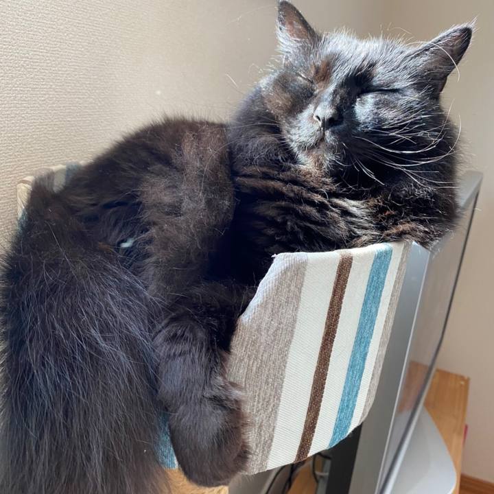 D24a516a 3889 4611 b67a f56b3b99e66c 1591413490503