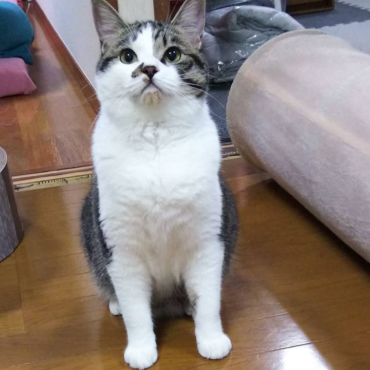 D24a8966 55fd 4a55 aa5a 5fad723cd9fe 1623842148482