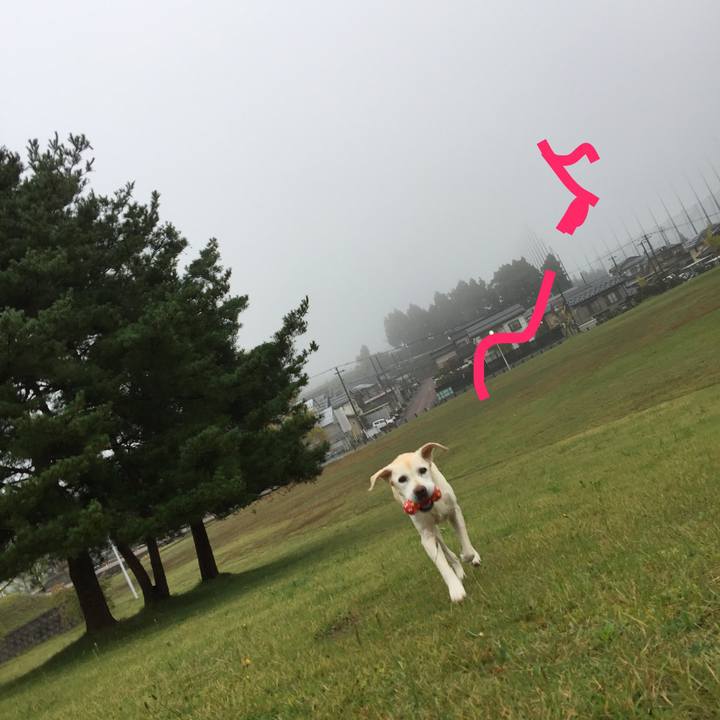 D24a8e79 cb97 47b3 b6b7 e187cae222dd 1508191747259