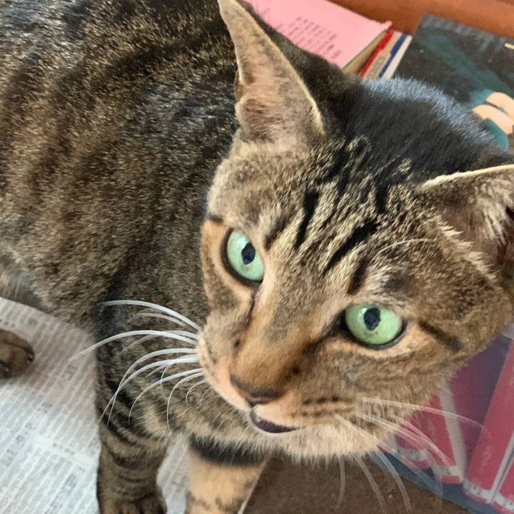 D24aa45f c516 4268 b6a7 88801b29126e 1553390302003