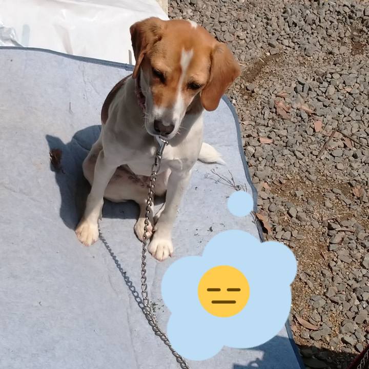 D24ab309 b119 481f b834 277d1a19838f 1587015296037