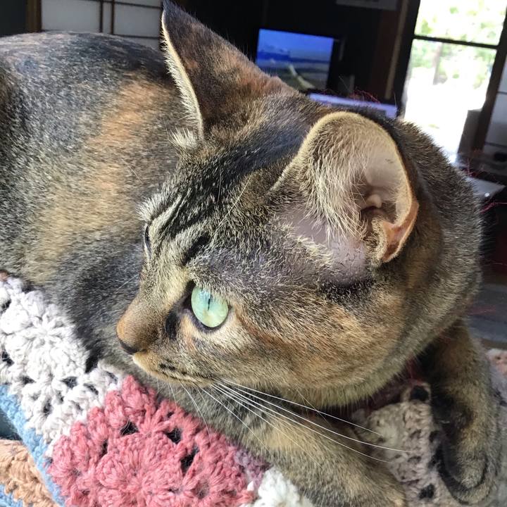 D24ab56a 4882 46a5 b0f9 48ee2d70ef05 1631505326673