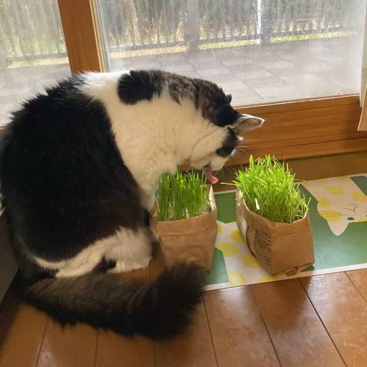 D24ac184 40da 43f2 bd20 43e3dcbdb62a 1709765461702