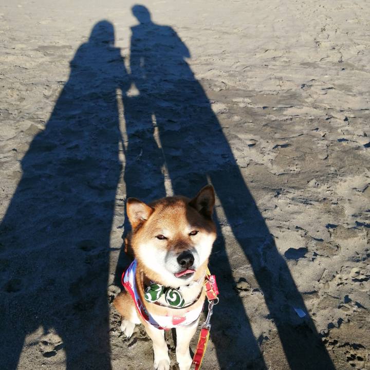 D24ac63e b925 4860 b407 d0841864c292 1584703047162