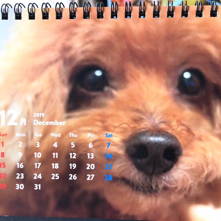 D24ad0bf 5787 42bc 910b 784c8cb6a4af 1575338238647