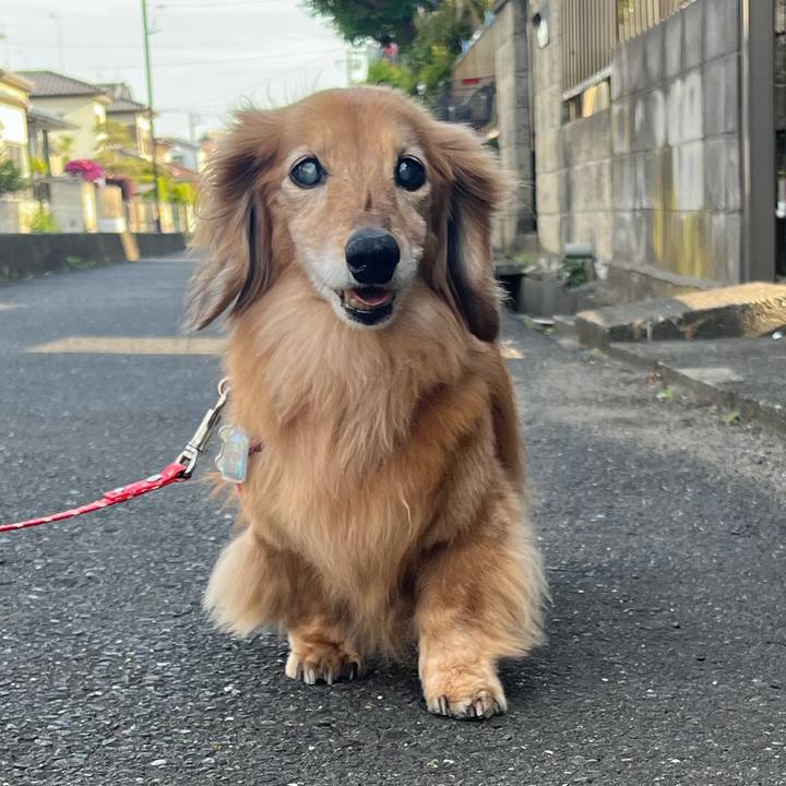 D24b1b7d 041d 4d94 9d7c e780281ecfc8 1683118070344