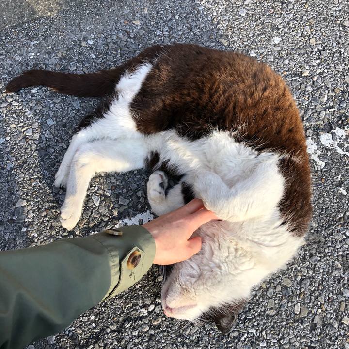 D24b5270 5212 4299 9f1b 8e94bb921faf 1554080042362