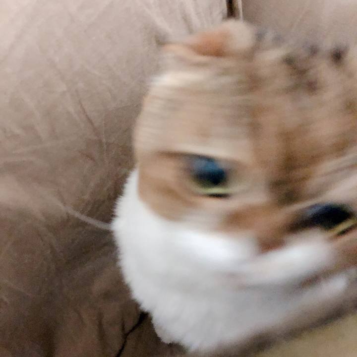 D24b6f3c 65c3 426a 95af 5f6e2b96ba22 1560613564713