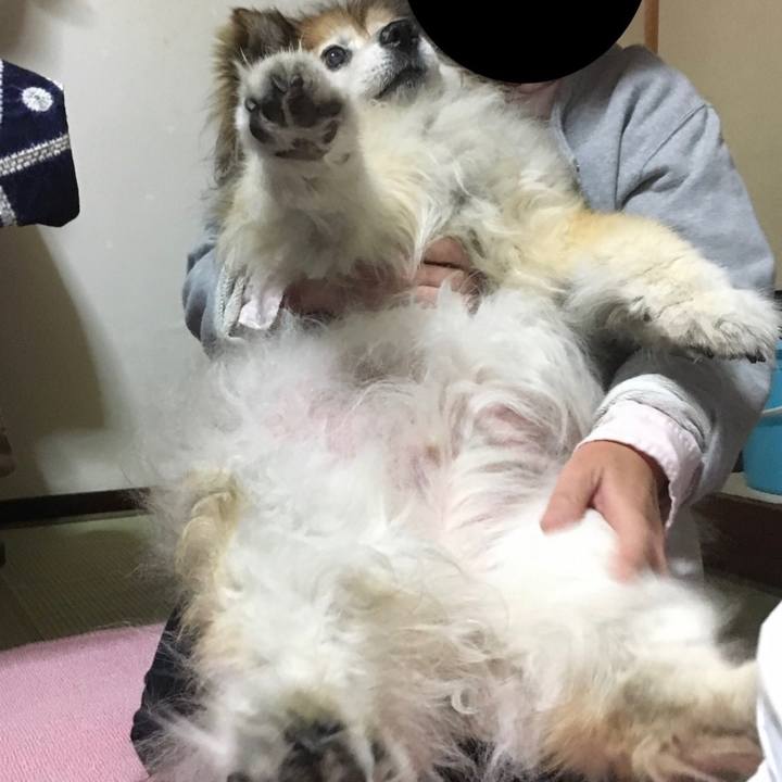 D24b9473 991d 4d1a 94c4 368deccbdee7 1581641938538