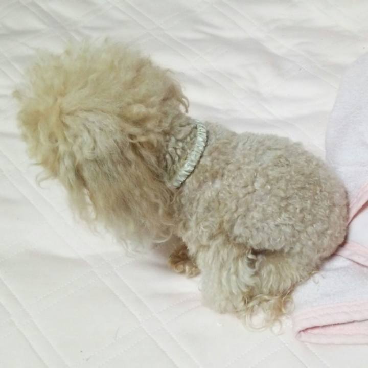 D24bbf01 c706 4246 9637 1fbf01c14105 1531401687560