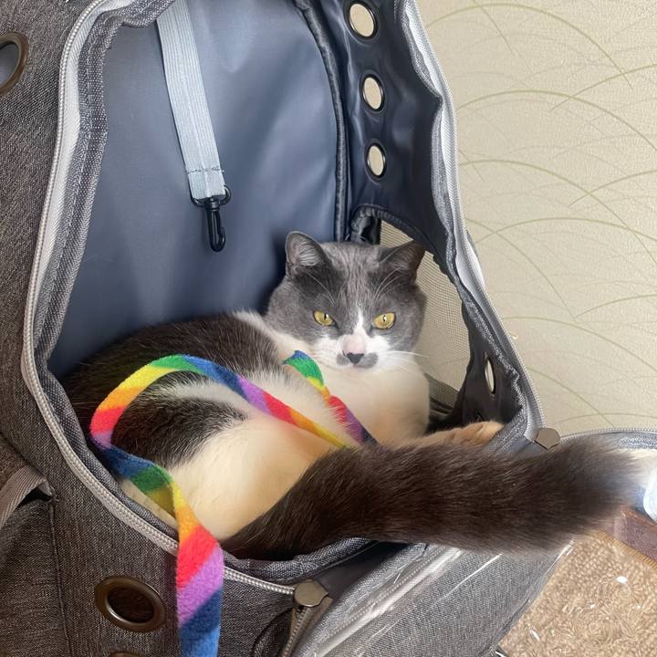 D24c2e5e 0e55 4599 a702 a804493957d9 1706331203410