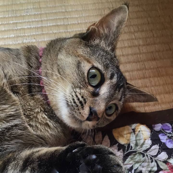 D24c3e3d 9744 48d3 8266 d88d53d50989 1591584627543