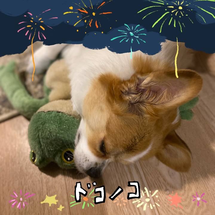 D24c60c1 7402 49b6 8c06 6f1a5301f815 1723295740917