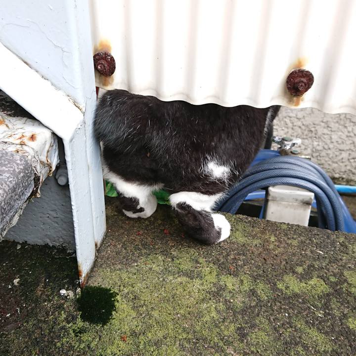 D24c6824 e39d 4d9f bcd0 41f1ee402fe6 1602975928065