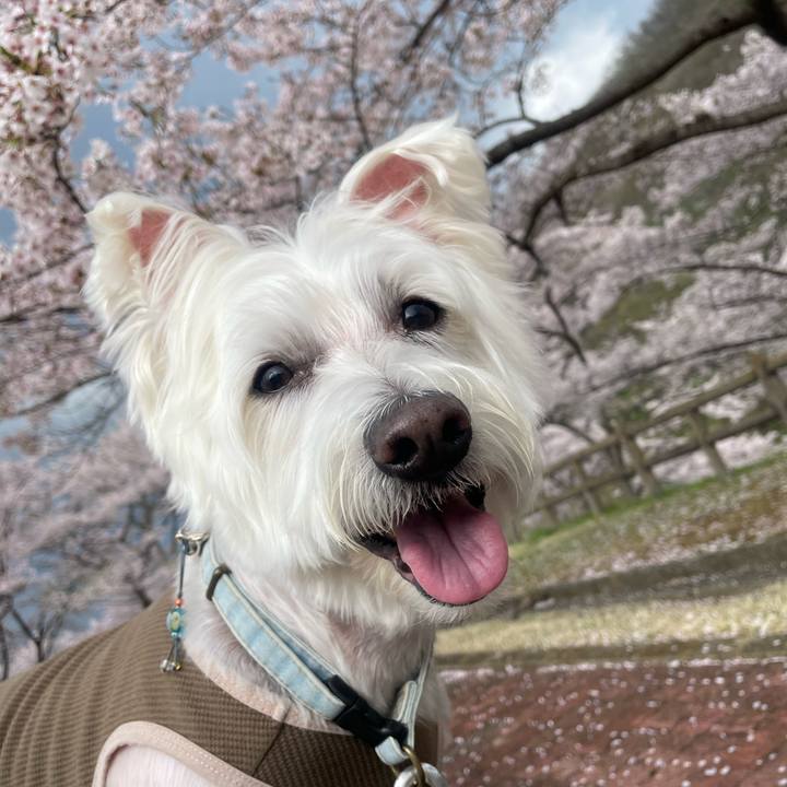 D24c7fff 5cba 43bf 93a3 cafda63eb171 1745129630209