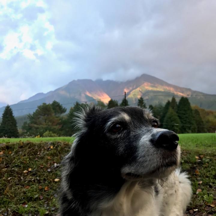 D24cb5f5 0c7f 4ed1 9c30 d0d2d6b6ce0e 1540646093467