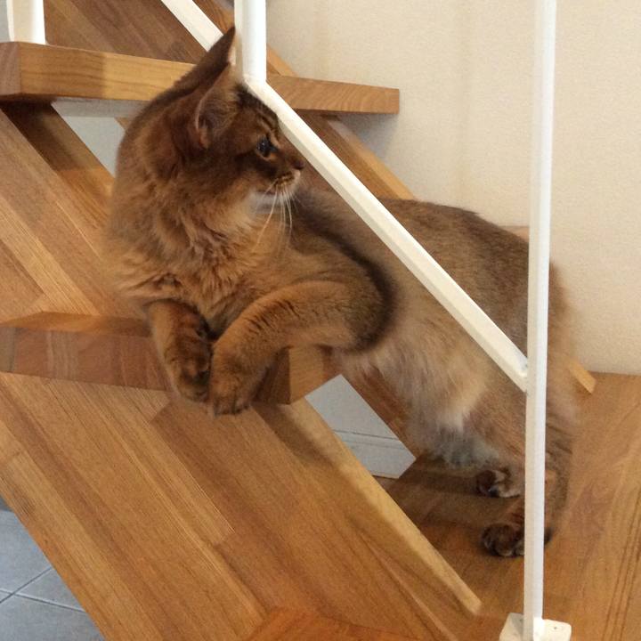 D24cbb6b 7c90 4ef8 a188 e7097e13a492 1589347360501