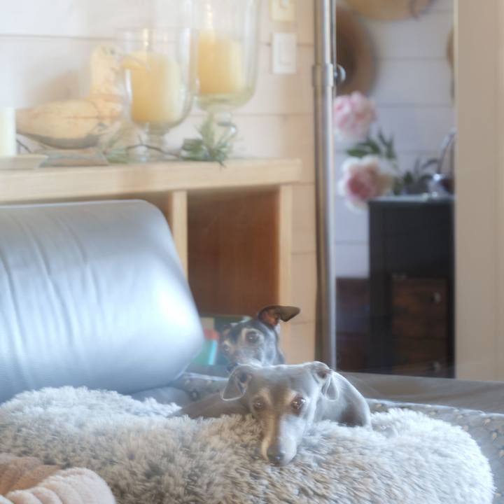 D24cf074 a5df 4a30 9d41 a0af6c09a05d 1767078250130