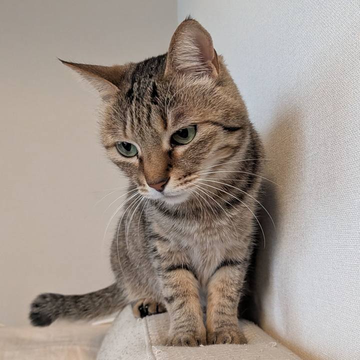 D24d2679 846e 4796 9f58 952177c5b996 1772404571183