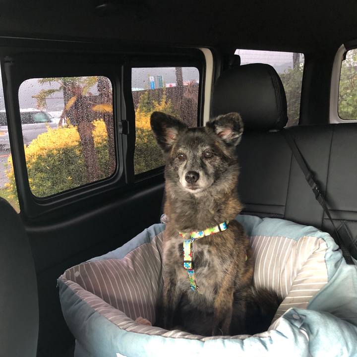 D24d4cbc 664d 421b 9c62 b004b73eaa06 1689033174703