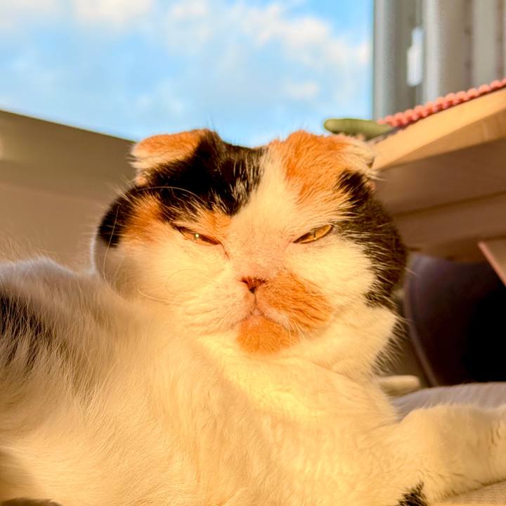 D24d545a 449b 472d 9321 ceb682eafde2 1761776764091