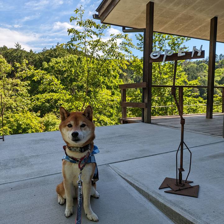 D24d55a3 e913 40c6 b857 0eed5fac363c 1715701013810