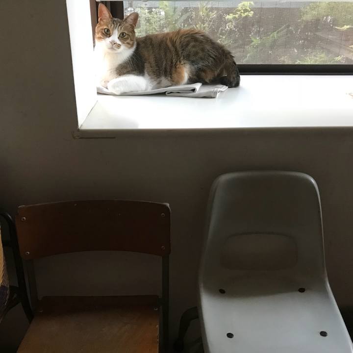 D24d67fd 65ed 4149 ace2 06e5d12dd8ef 1533086574205