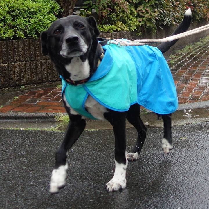 D24d9aa2 6d44 4bdc 84ed e1254a9a68bf 1682469943682