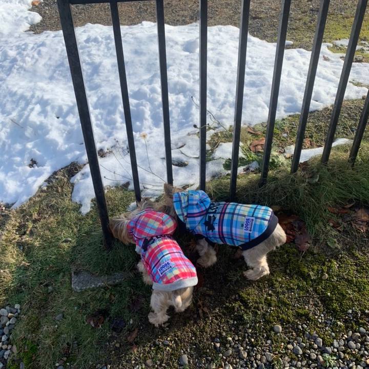 D24dff0d 35bd 475c 9070 af664f90faec 1639043593512