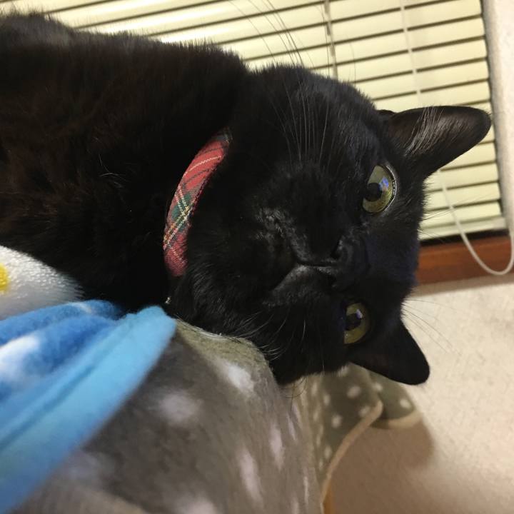 D24e2d57 a089 407a b2ac 96202fae2408 1514635491329