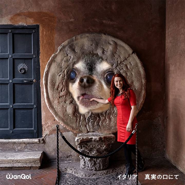 D24e2de8 b7d9 4773 b0dc b31ce42ed16a 1615293187665