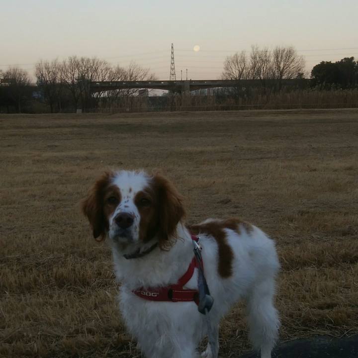 D24e34b5 37fa 4de8 a13c d24db49d7f16 1548116655764