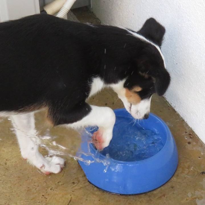 D24e5590 ec85 41cc 8c48 76b99182ba52 1564407946662