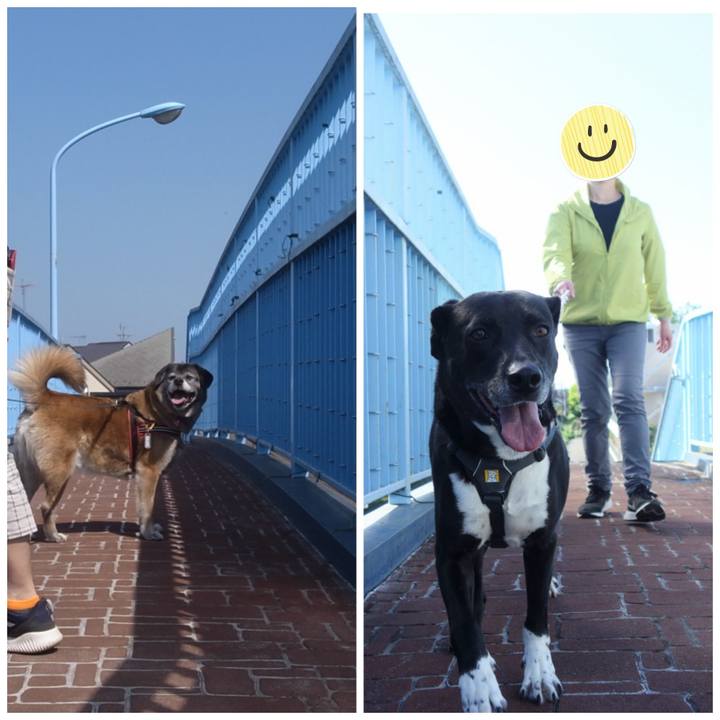 D24e90ff 6b6e 4a64 afbf 7db389c83dce 1651280786834