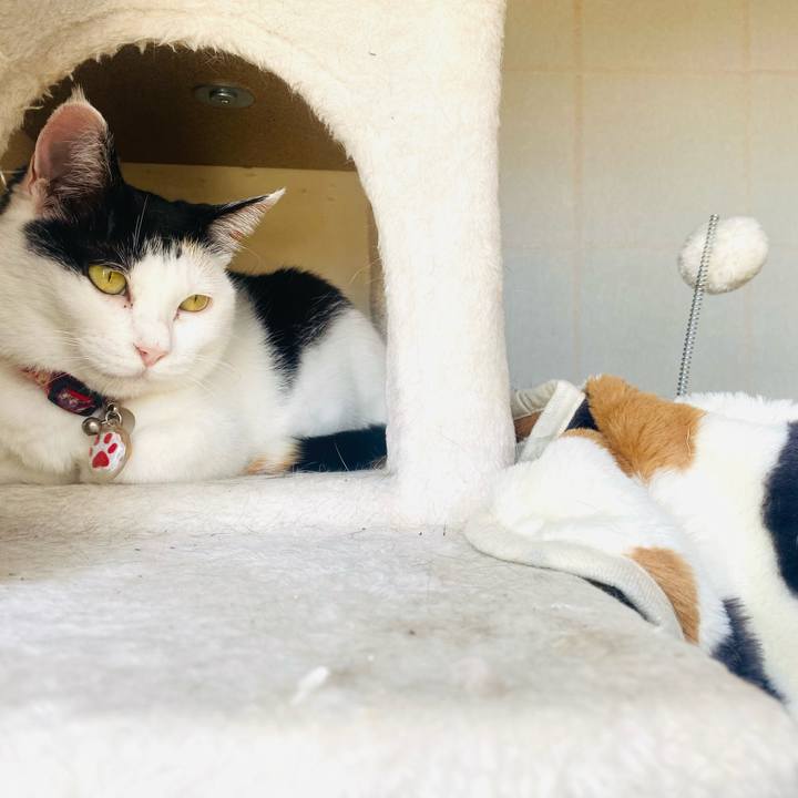 D24ec791 a538 4bb4 a62a ed3b6e93d5e8 1749030300482