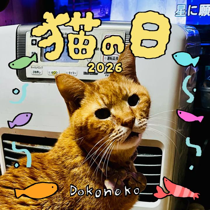 D24eea33 762d 4d33 87ba c229098c9992 1771705487119