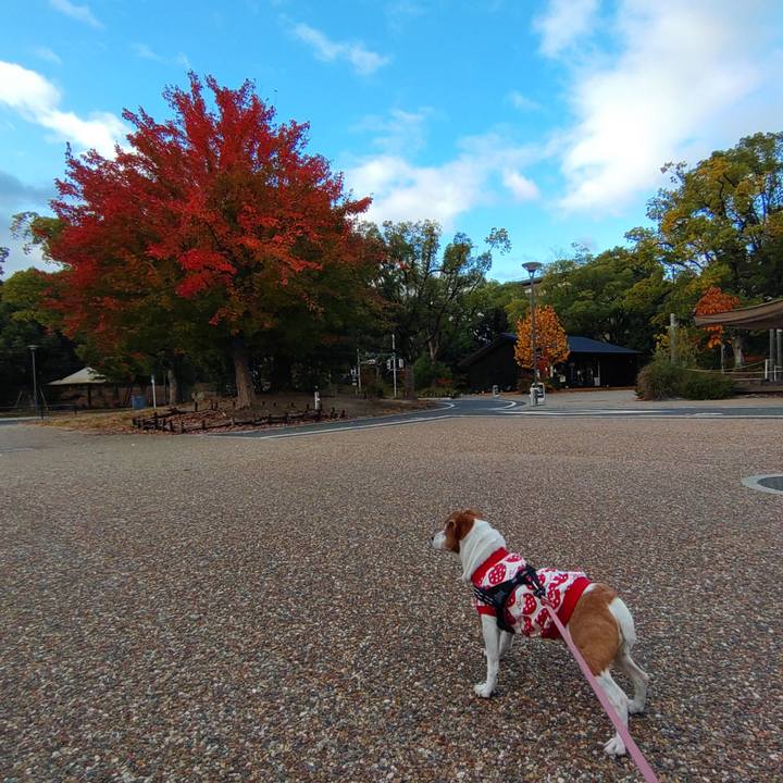 D24f0ae4 5f8c 4f72 8794 6c2b3a315759 1763508534924