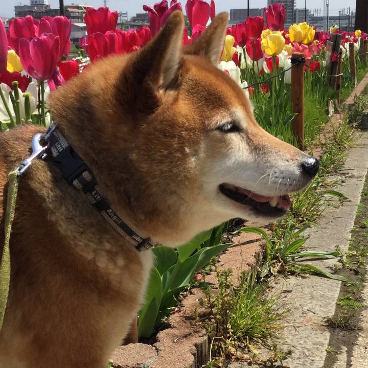 D24f11af ad3f 46ef 8ff6 e444a2db01a1 1587535249444