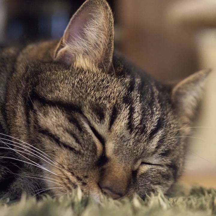 D24f1c22 e2d8 4968 a799 2dd827fd7646 1613946613190