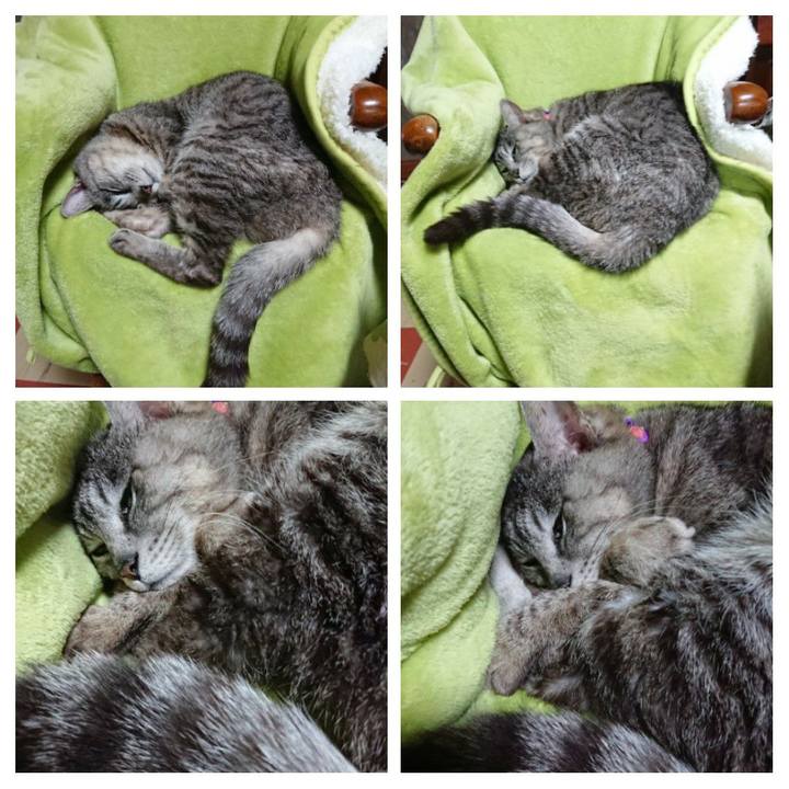 D24f47f0 40e4 4425 a640 ffa8c115389f 1588646481895