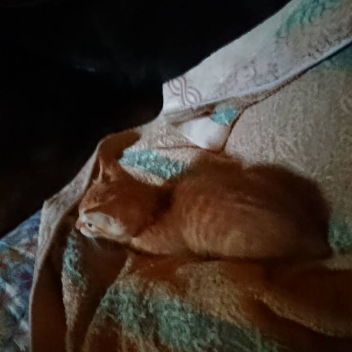 D24f6e39 e960 4b4d 8448 90a4c873bab7 1628022763994