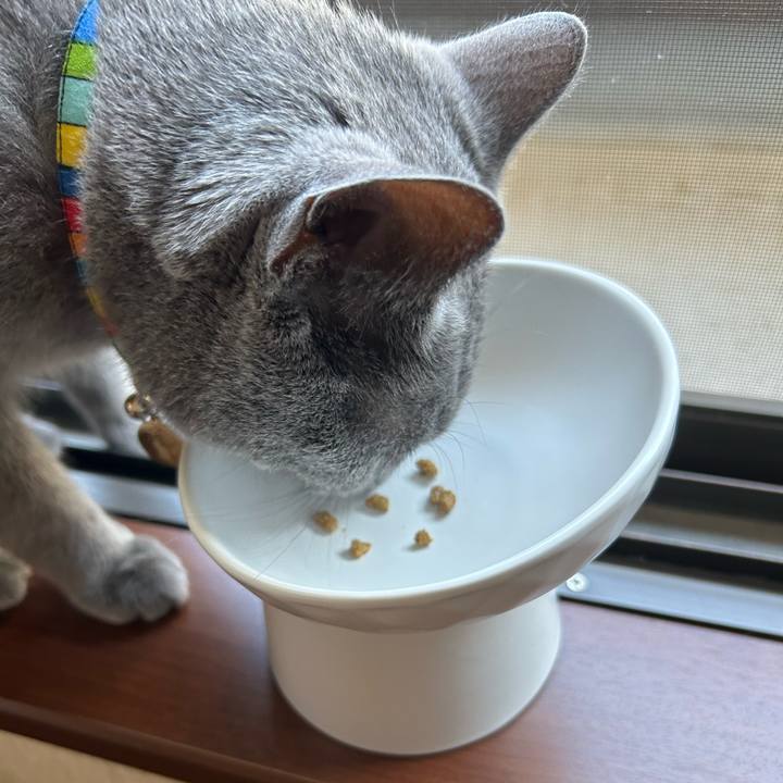 D24f9021 edb9 46db 9a42 3353462c8768 1690242127388