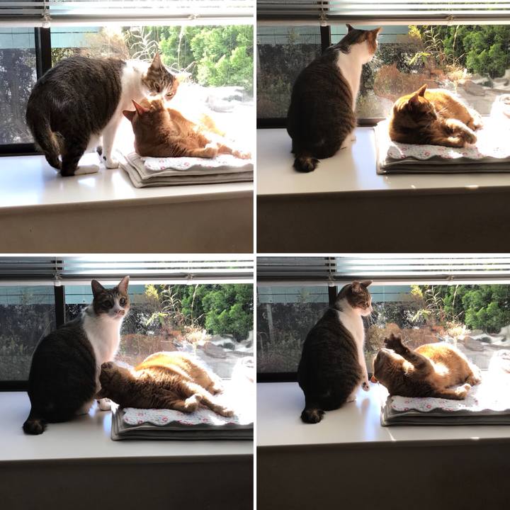 D24fa273 bead 4a90 85c8 4841319f8649 1513399428463