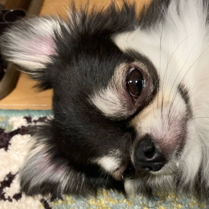 D24fa495 b26d 4ae7 86d4 9e2d6fc6ef52 1621778045613