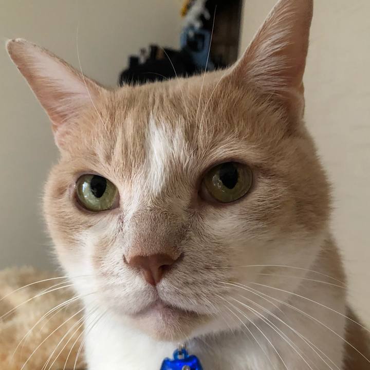 D24fa769 35c7 4e3f 88e8 86ef555b94af 1513075743564